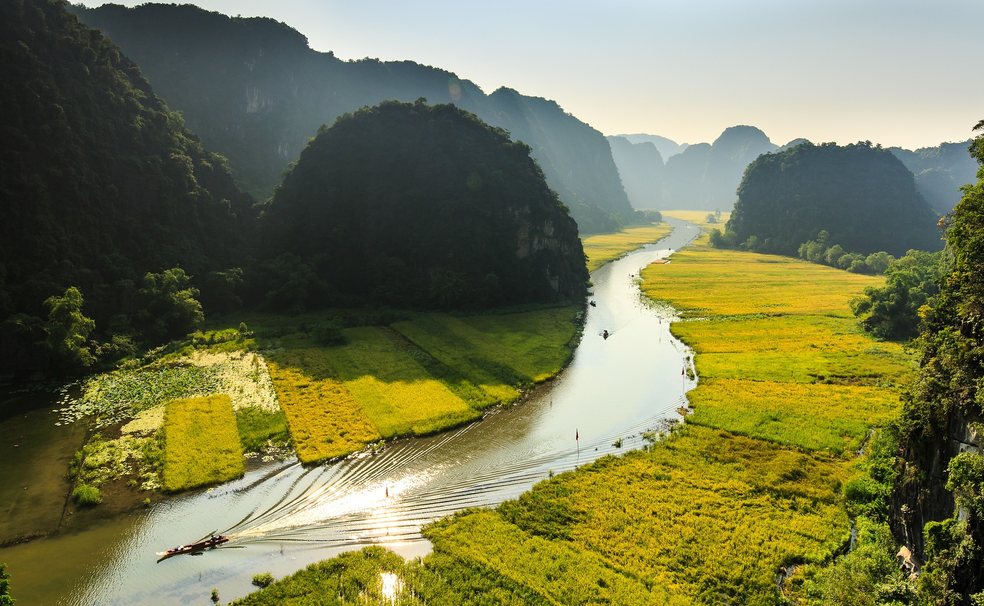 Tin tức